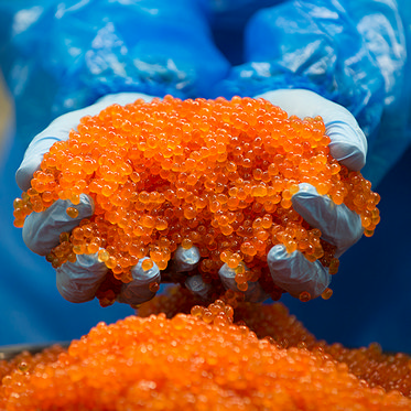 Промышленная съемка